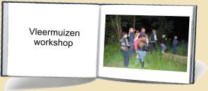 Vleermuizen   workshop