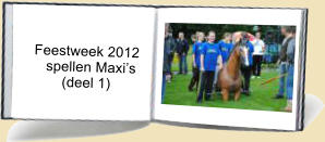 Feestweek 2012       spellen Maxis           (deel 1)