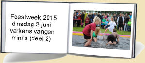 Feestweek 2015  dinsdag 2 juni varkens vangen  minis (deel 2)