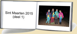 Sint Maarten 2015         (deel 1)